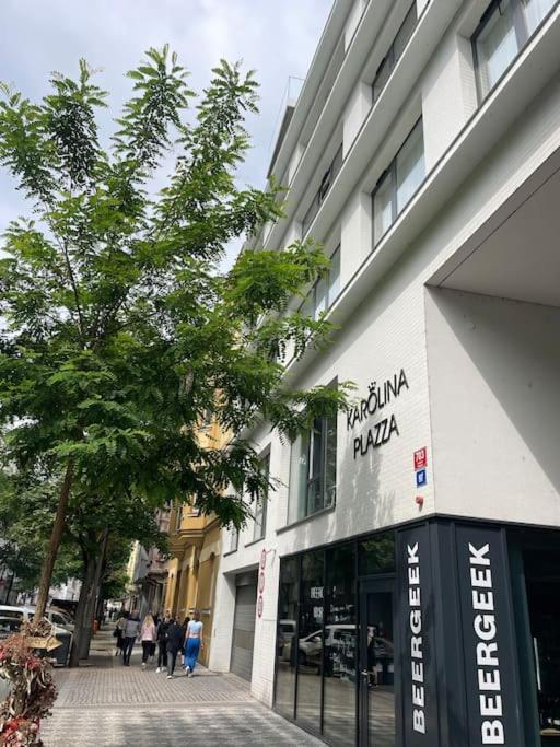 Apartment Karel With Garage Parking 布拉格 外观 照片