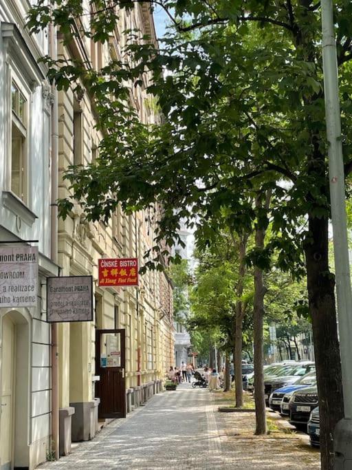 Apartment Karel With Garage Parking 布拉格 外观 照片